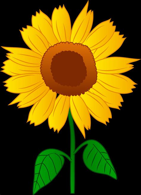 clipart pictures of sunflowers|sunflower free clip art images.